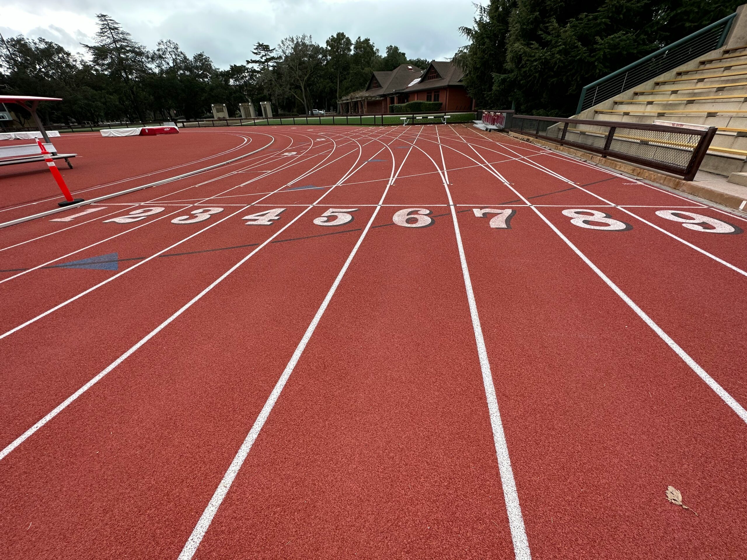 How to Track SEO Progress Effectively